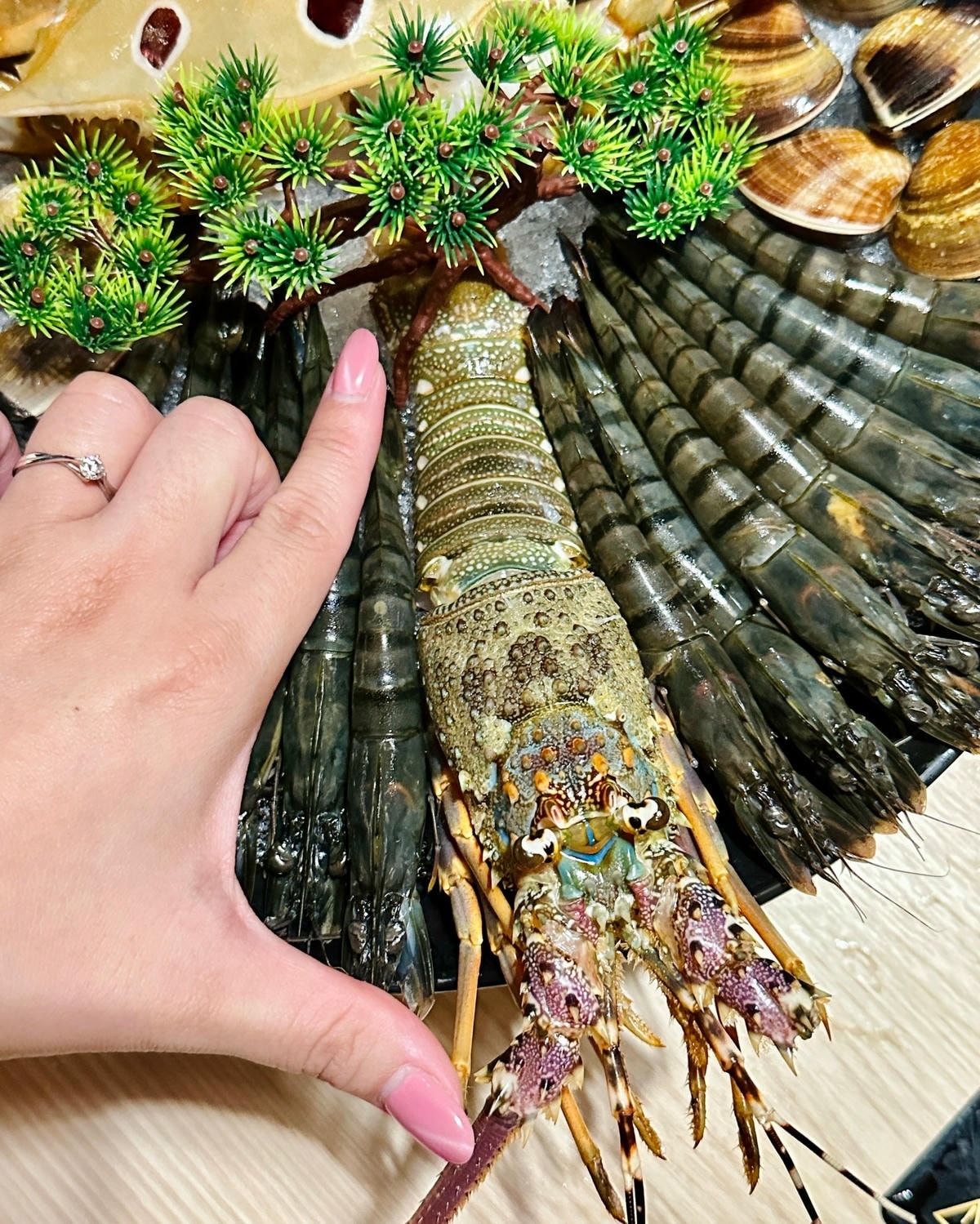 【新竹】(已暫停營業)野人Shabu 冷藏 / 熟成高級肉火 【新竹】(已暫停營業)野人Shabu 冷藏 / 熟成高級肉火