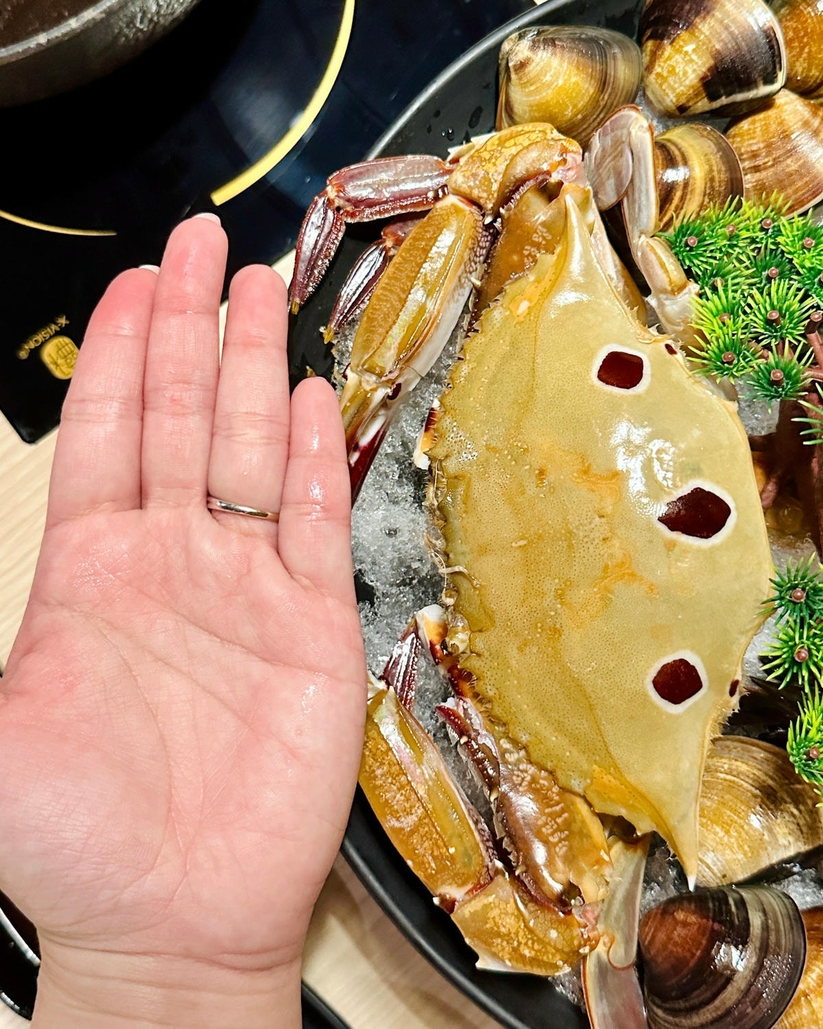 【新竹】(已暫停營業)野人Shabu 冷藏 / 熟成高級肉火 【新竹】(已暫停營業)野人Shabu 冷藏 / 熟成高級肉火