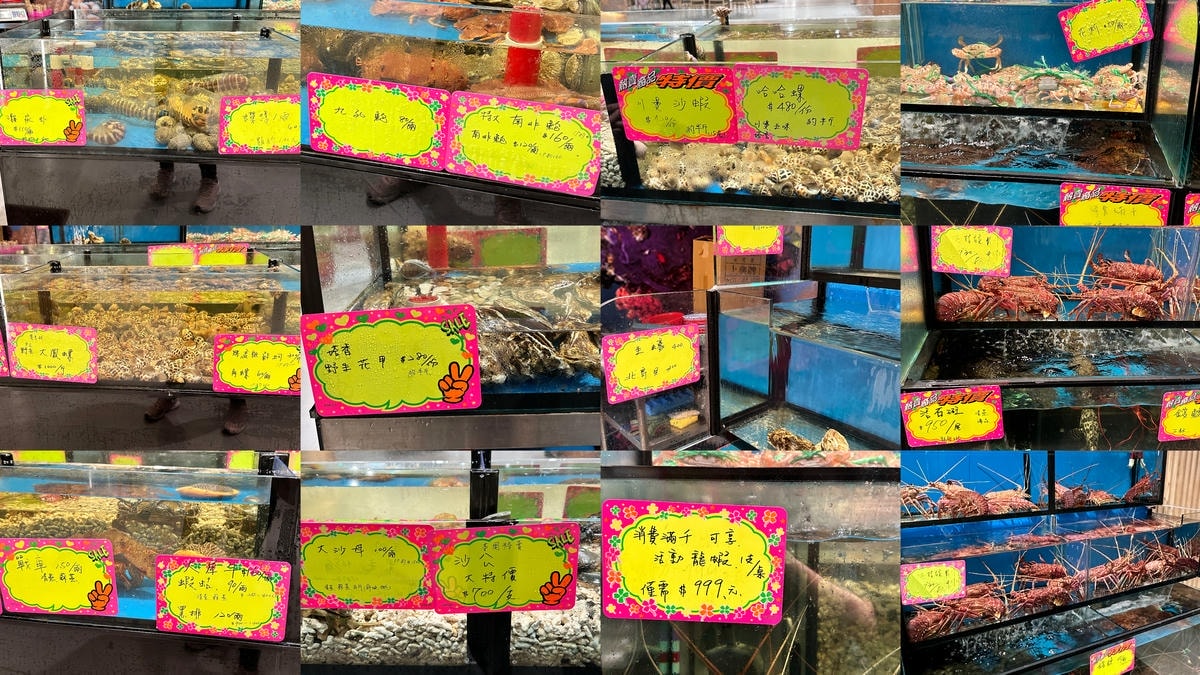 【新竹】新竹南寮海鮮餐廳推薦 「千八料亭-八海宴」 999