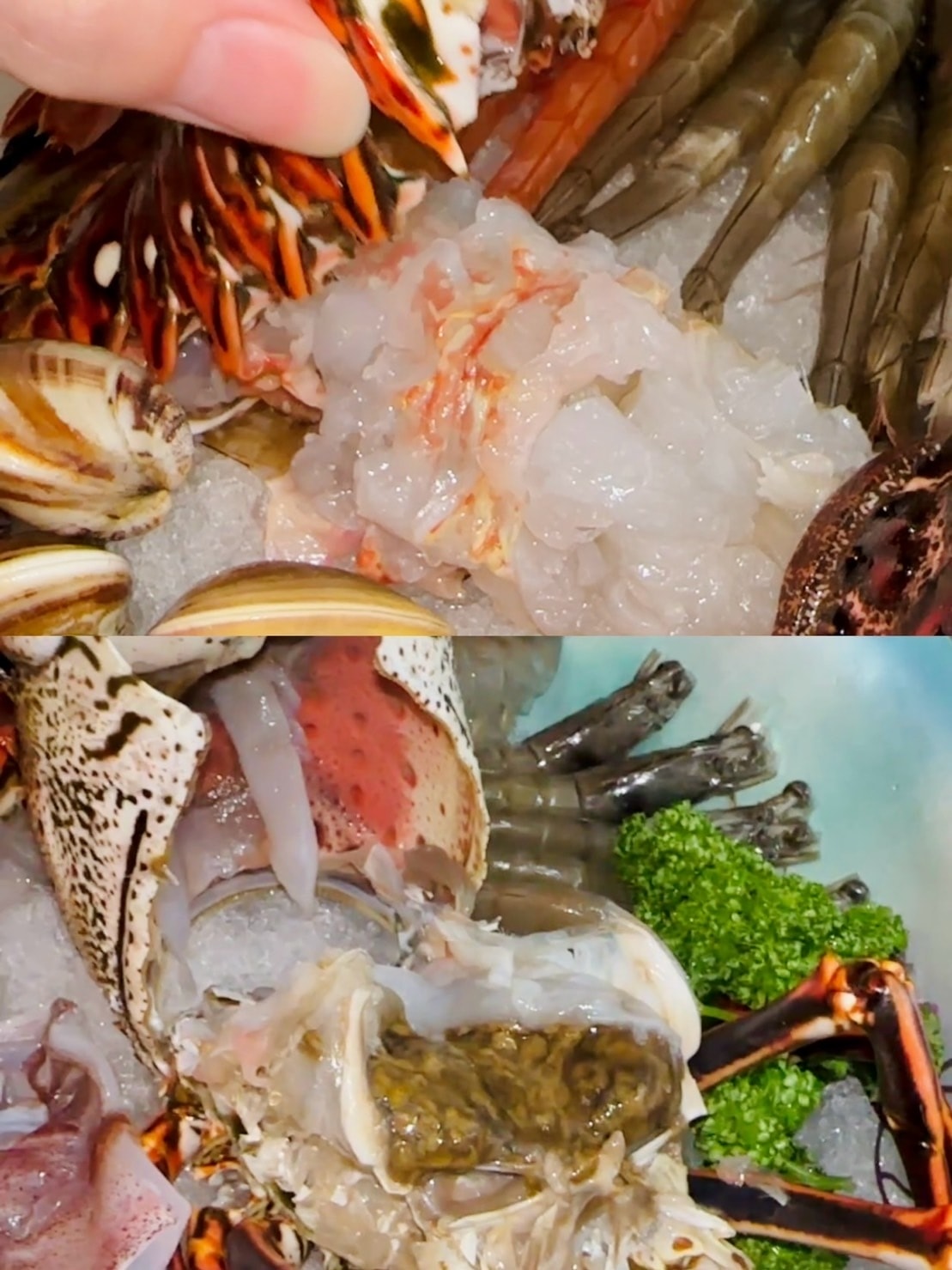 【新竹】新開幕 六野鴛鴦鍋物 麻辣鍋有超豪華巨大海鮮盤 新竹 【新竹】新開幕 六野鴛鴦鍋物 麻辣鍋有超豪華巨大海鮮盤 新竹