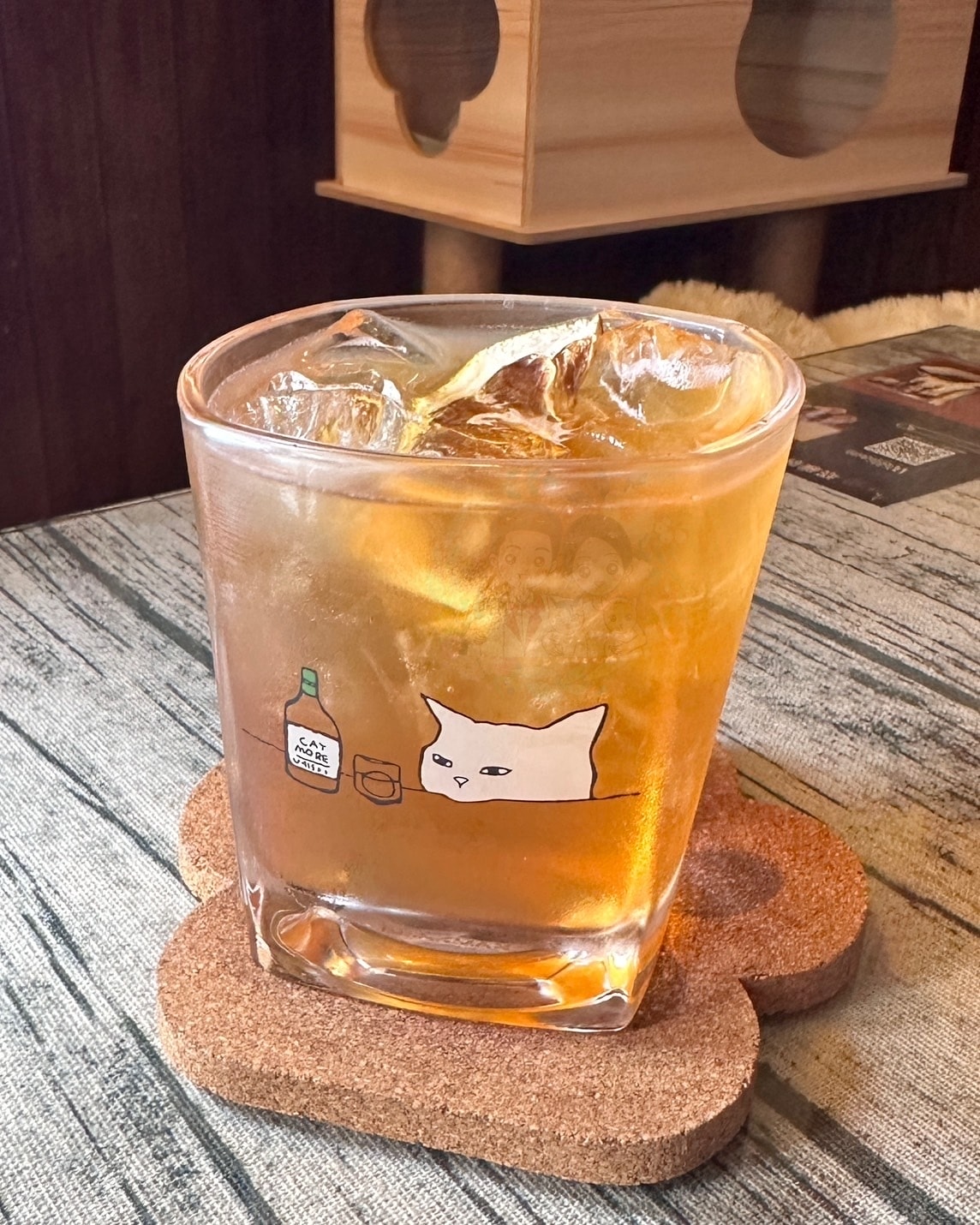 【新竹】全新竹獨家的外帶調酒!不限時貓咪咖啡廳 W.bist