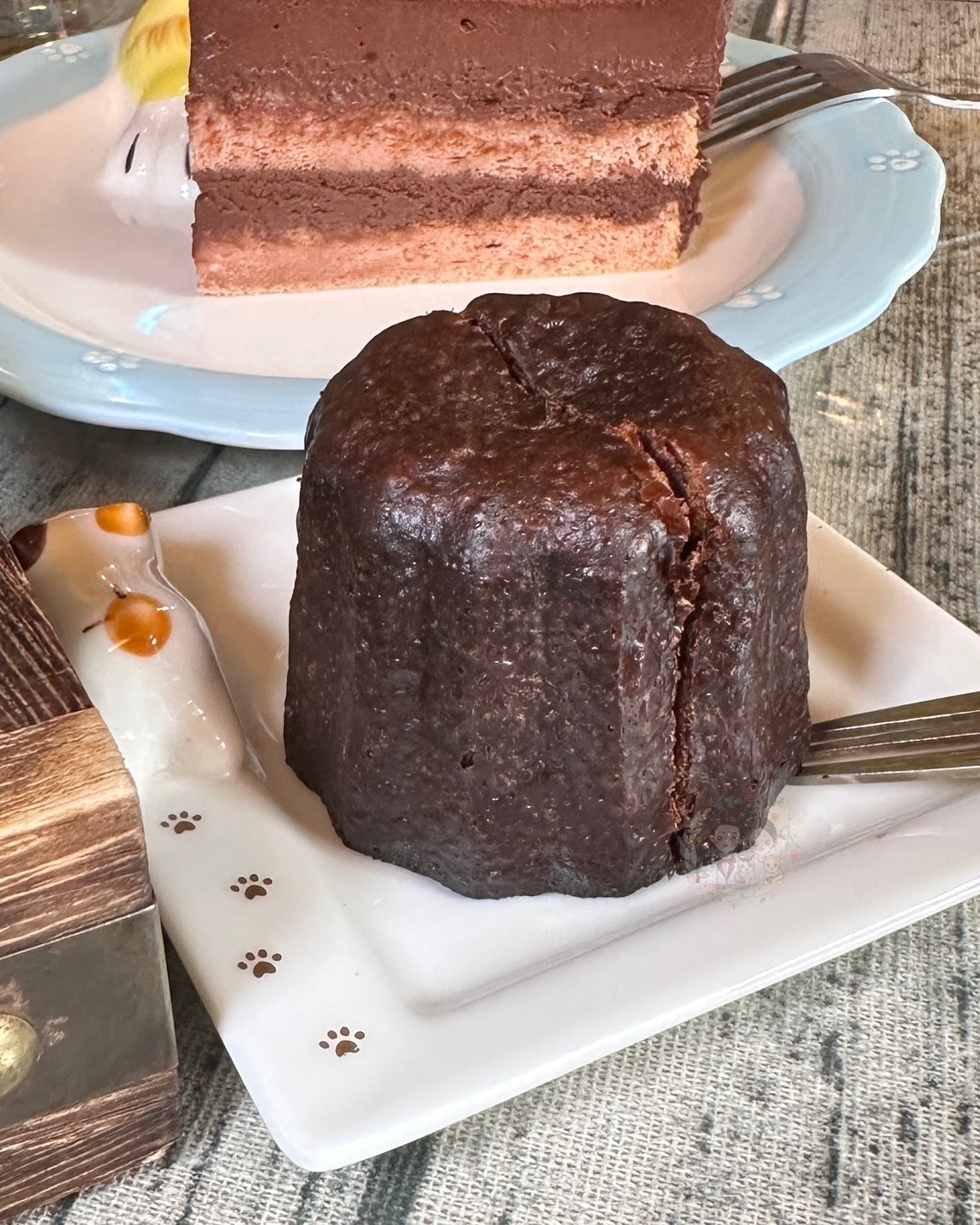 【新竹】全新竹獨家的外帶調酒!不限時貓咪咖啡廳 W.bist