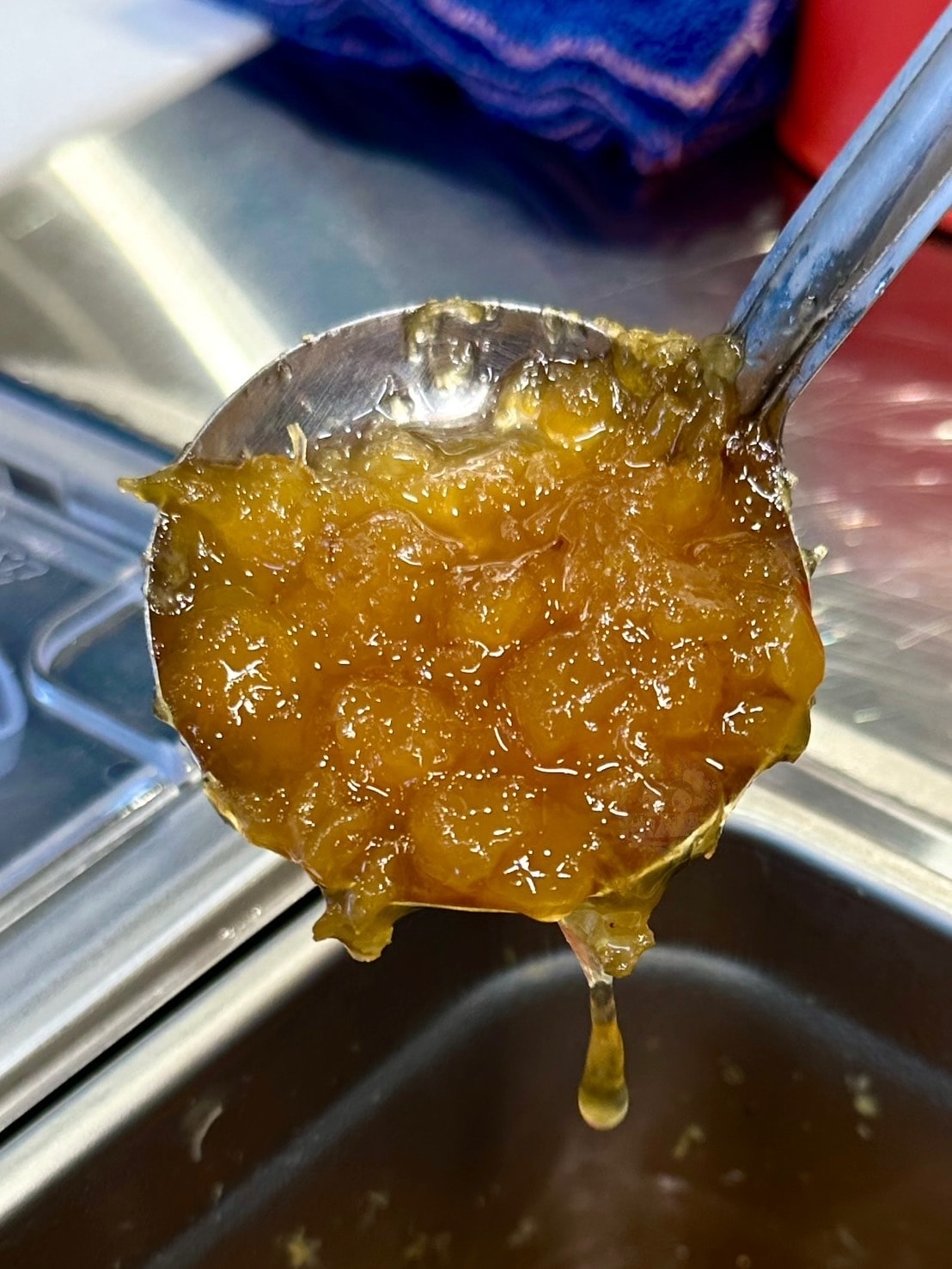 (已歇業)【新竹】十盛奶茶專賣 新竹金山店 文末附菜單 新竹