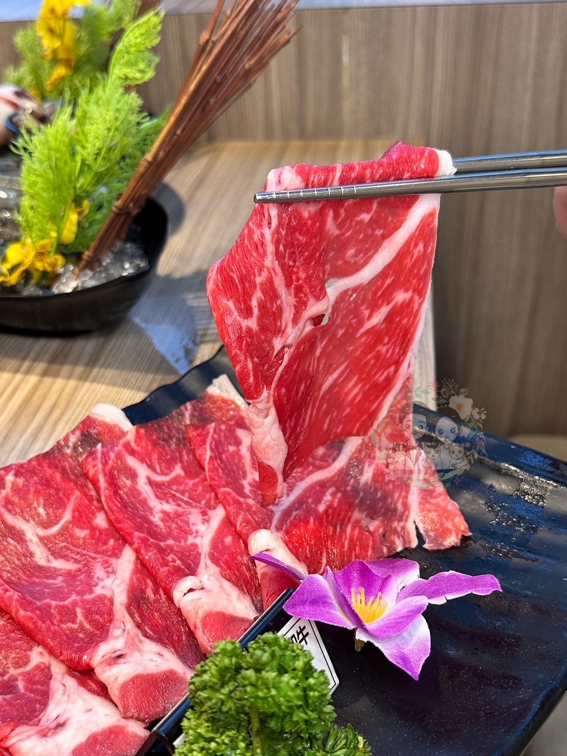 【新竹】449起吃到飽鍋物來了!!新竹還有對手嗎?【涮樂和