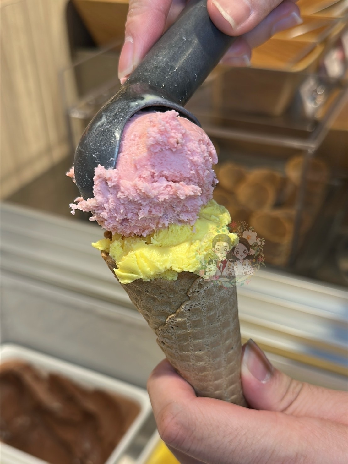 【新竹】449起吃到飽鍋物來了!!新竹還有對手嗎?【涮樂和