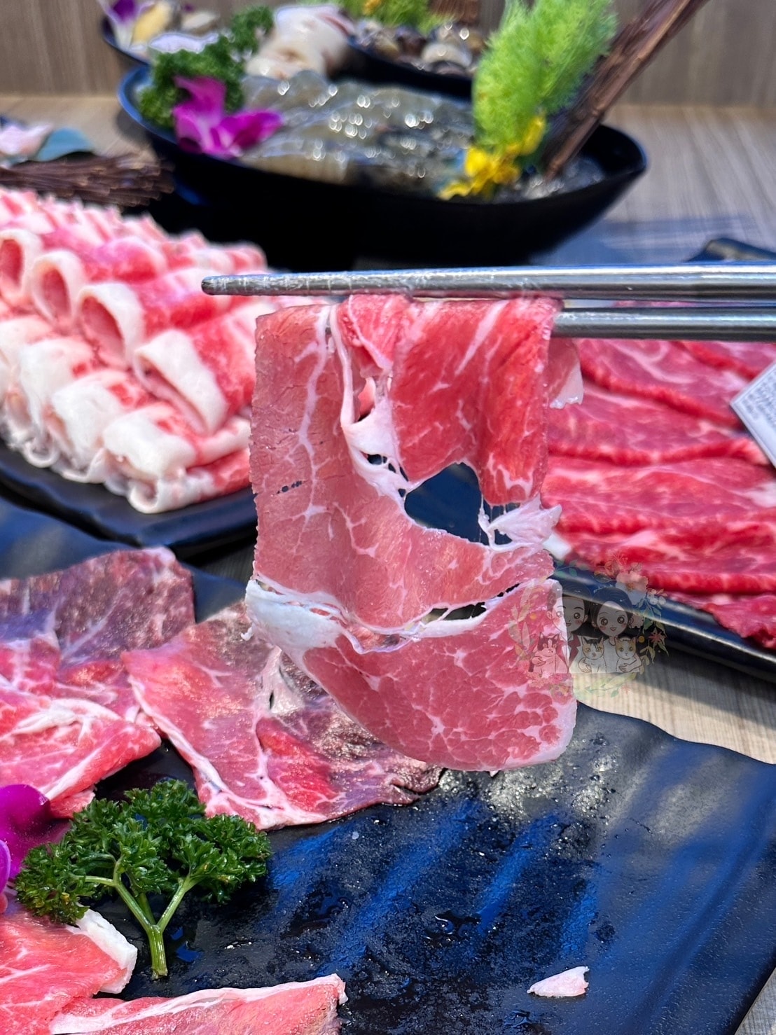 【新竹】449起吃到飽鍋物來了!!新竹還有對手嗎?【涮樂和