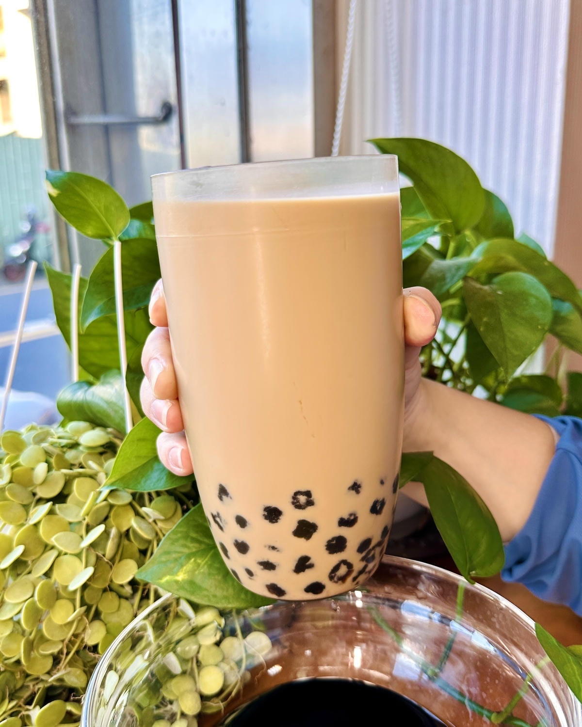 【新竹湖口】2025年還有一杯35的珍珠奶茶!?免費換料 【新竹湖口】2025年還有一杯35的珍珠奶茶!?免費換料