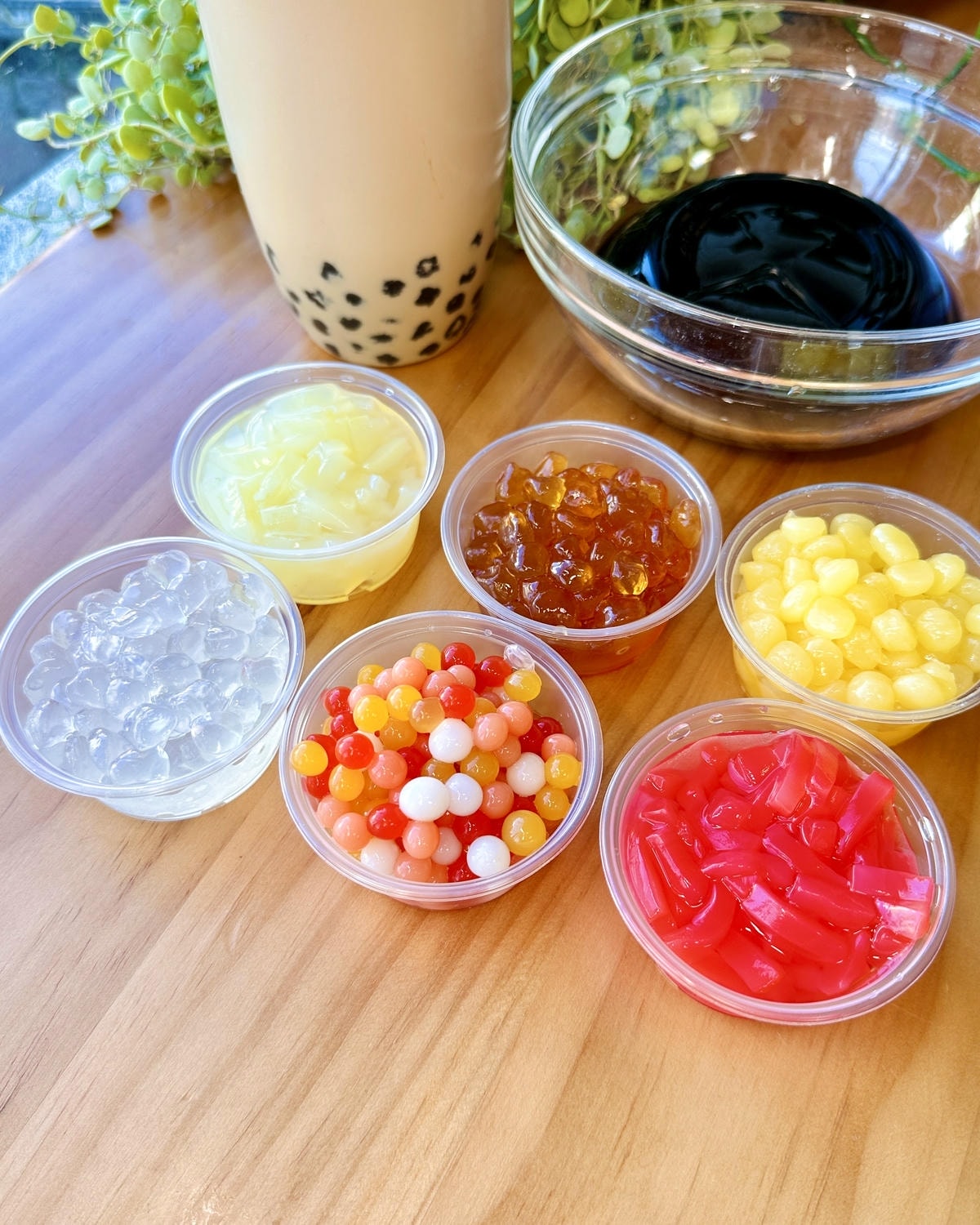 【新竹湖口】2025年還有一杯35的珍珠奶茶!?免費換料 【新竹湖口】2025年還有一杯35的珍珠奶茶!?免費換料