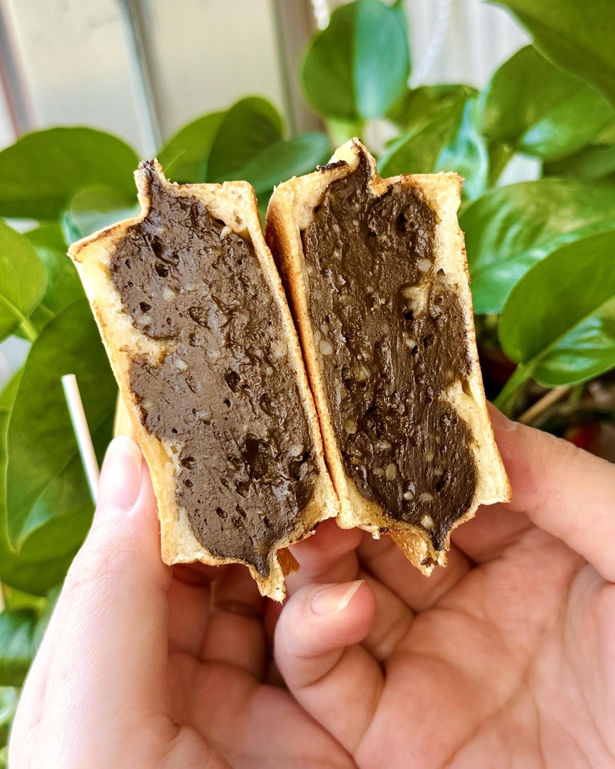 【新竹湖口】2025年還有一杯35的珍珠奶茶!?免費換料 【新竹湖口】2025年還有一杯35的珍珠奶茶!?免費換料