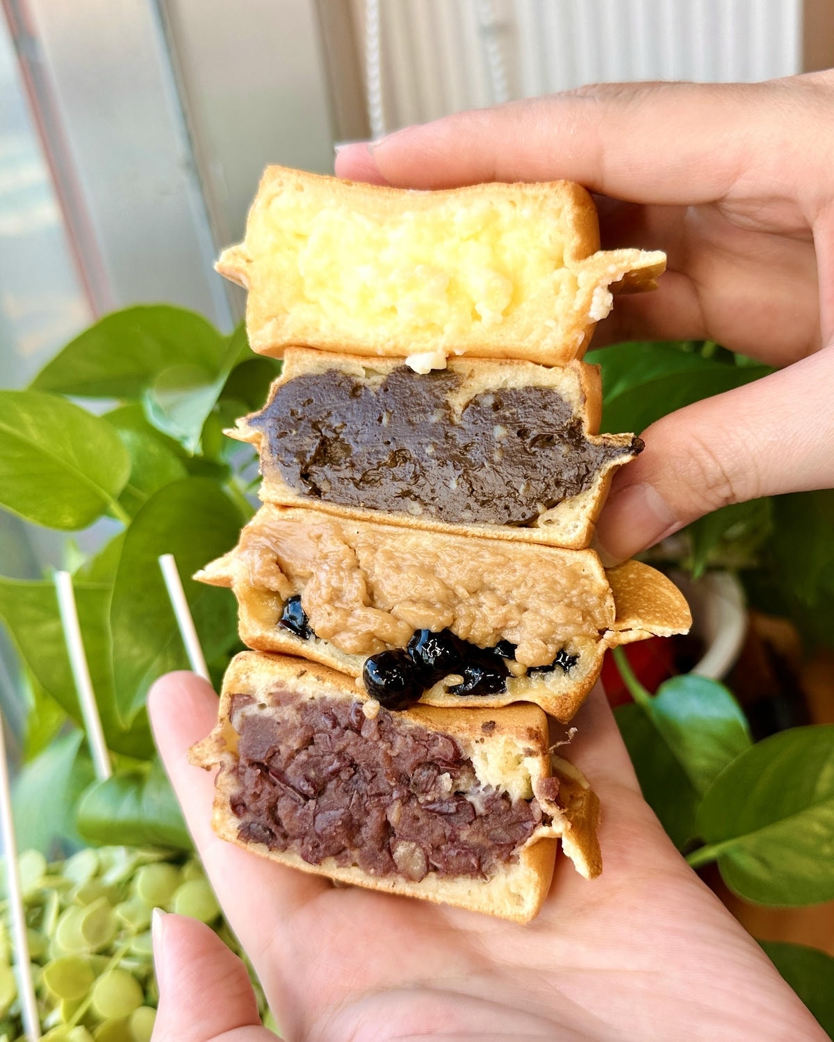 【新竹湖口】2025年還有一杯35的珍珠奶茶!?免費換料 【新竹湖口】2025年還有一杯35的珍珠奶茶!?免費換料