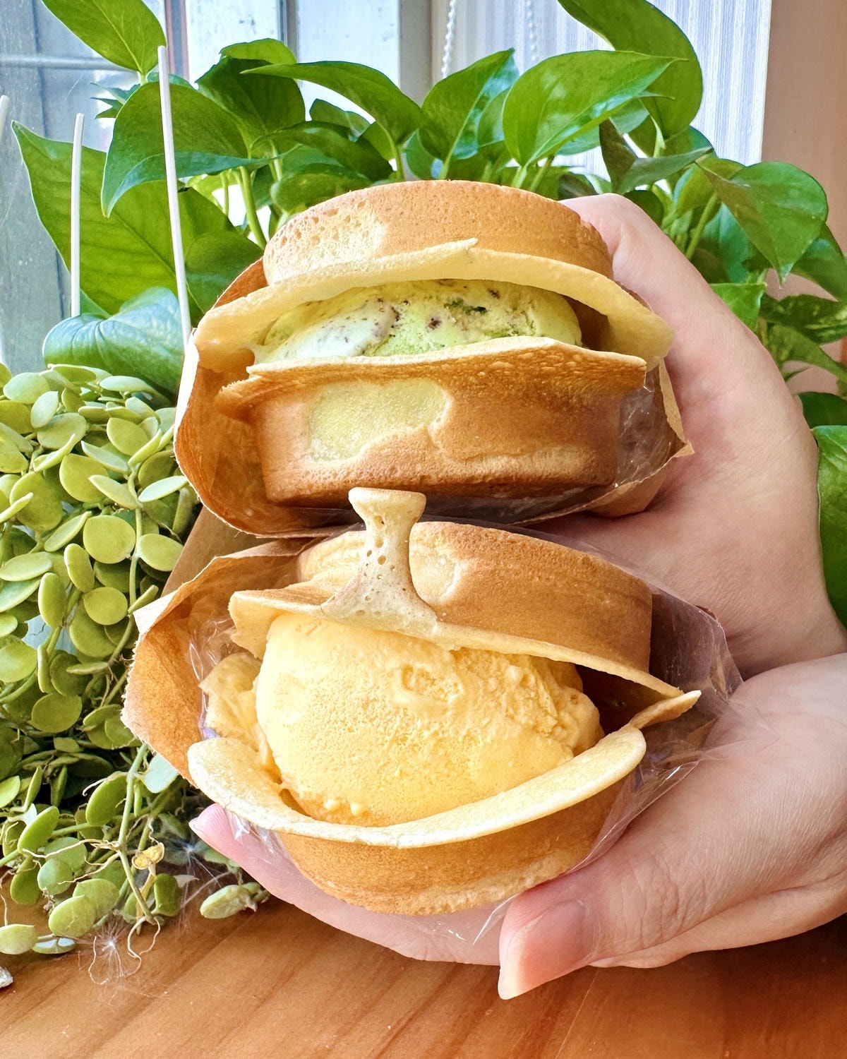 【新竹湖口】2025年還有一杯35的珍珠奶茶!?免費換料 【新竹湖口】2025年還有一杯35的珍珠奶茶!?免費換料