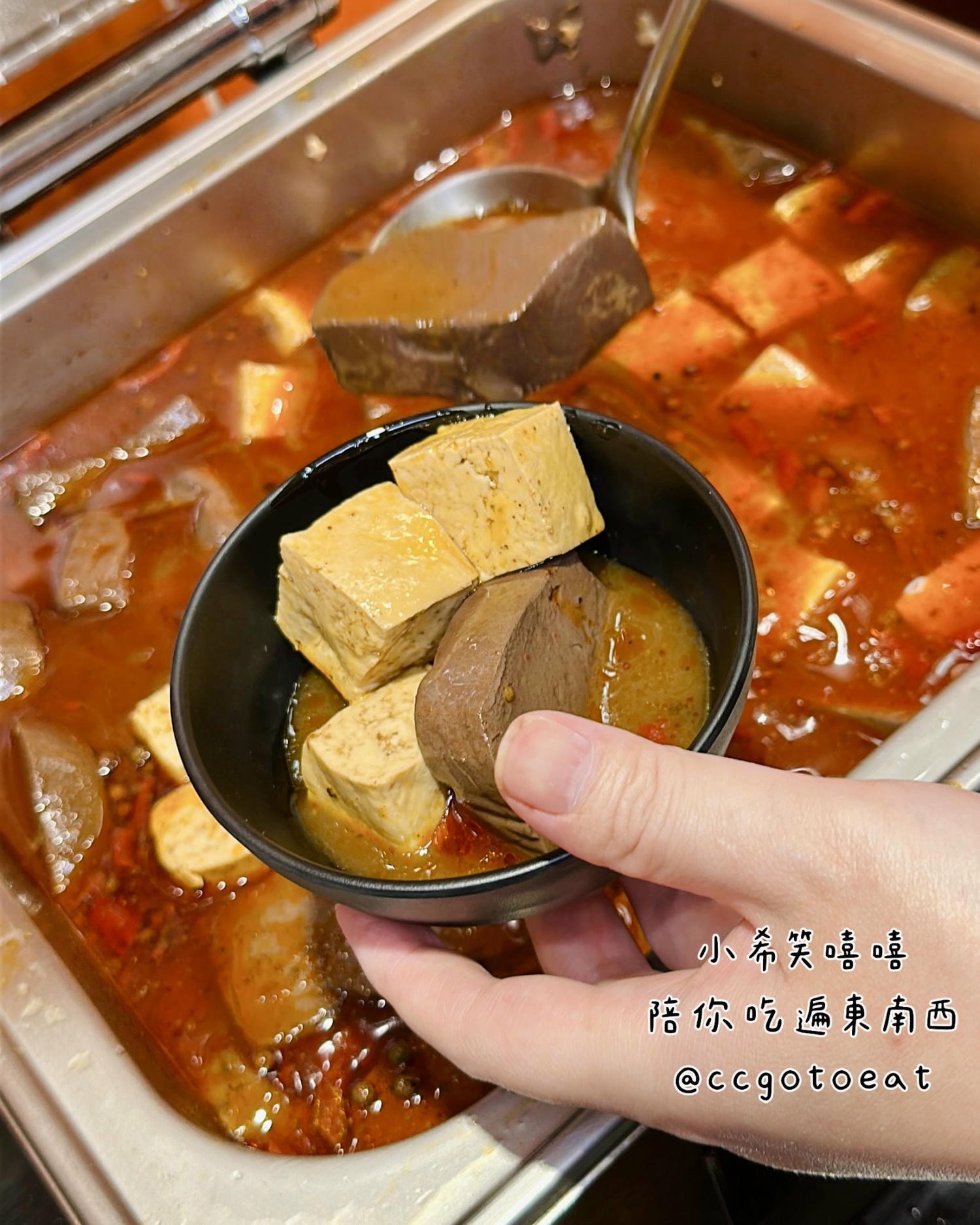 【新竹竹北】被麻油雞耽誤的牛排館？肉力士牛排$260起享超豐盛Buffet吃到飽！文末附菜單