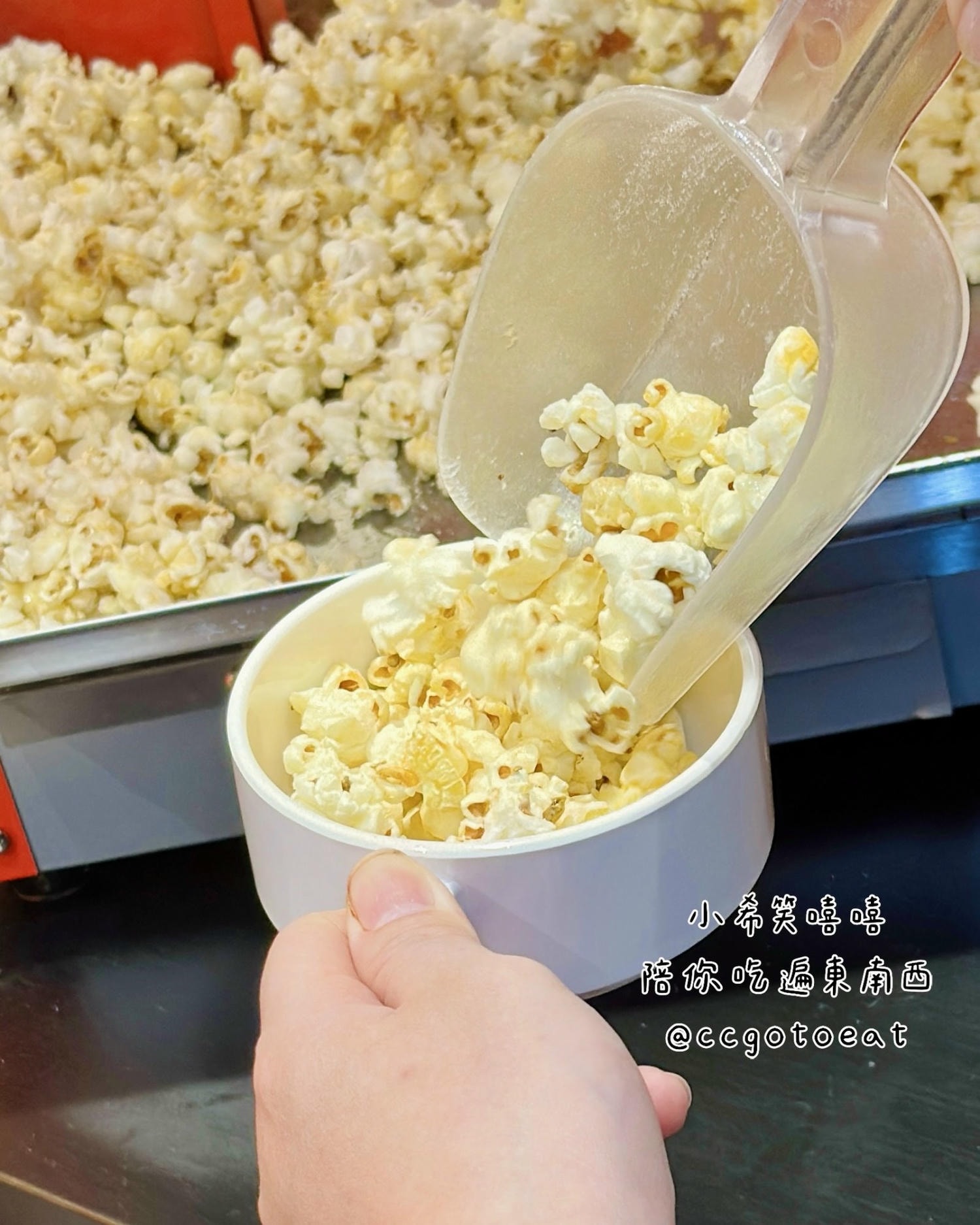 【新竹竹北】被麻油雞耽誤的牛排館？肉力士牛排$260起享超豐盛Buffet吃到飽！文末附菜單