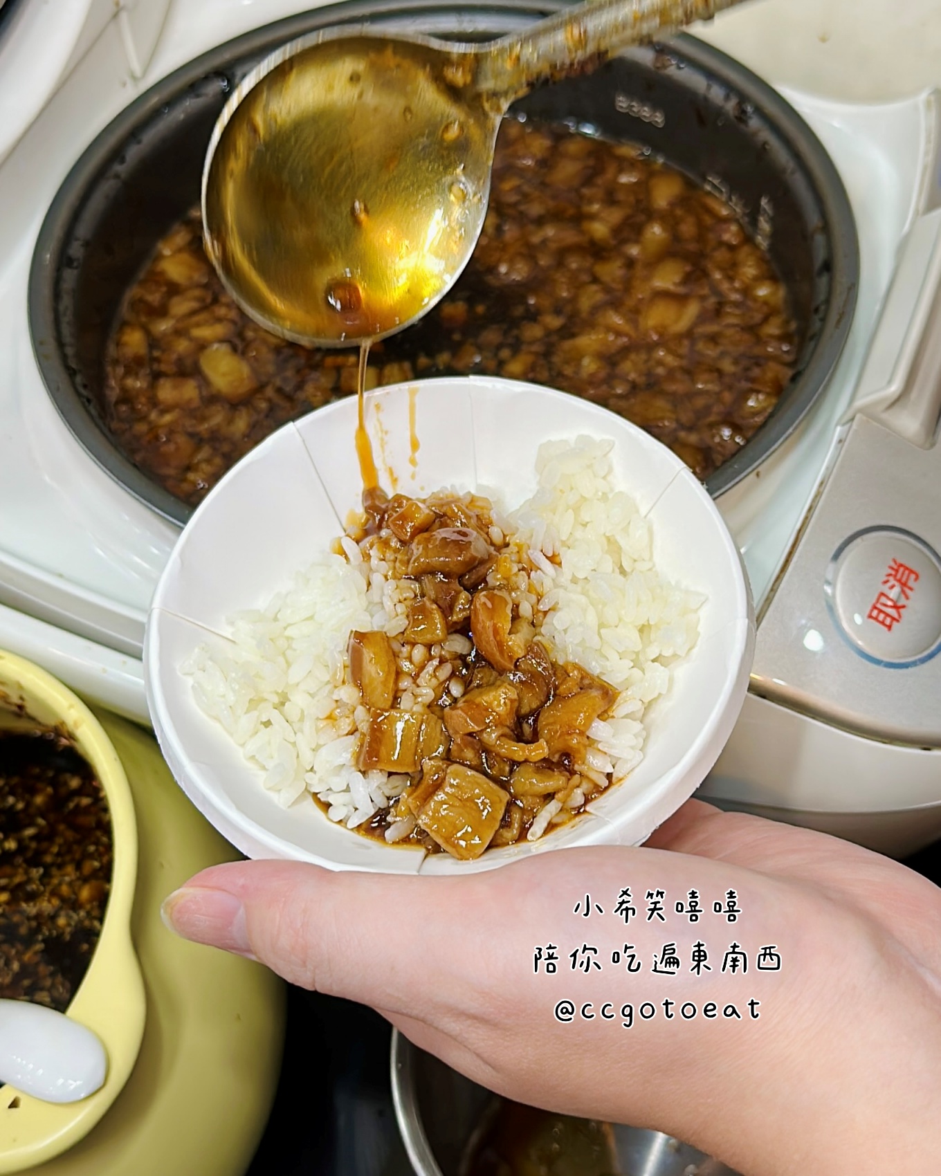 【新竹竹北】鼎香麻辣燙｜竹北平價小火鍋，豆腐鴨血入味、內用滷肉飯飲料吃到飽 文末附菜單