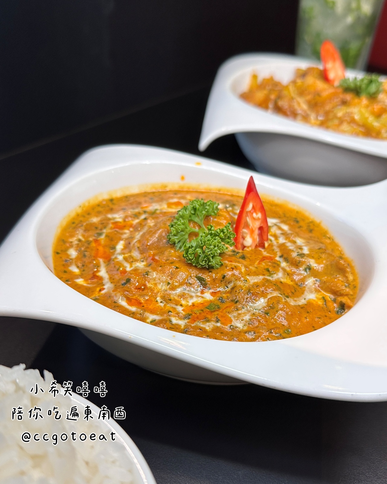 【新竹關埔】鄰近好市多商圈的異國料理 – 活力印度餐廳｜竹科下班聚餐新選擇 文末附菜單